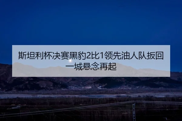 斯坦利杯决赛黑豹2比1领先油人队扳回一城悬念再起