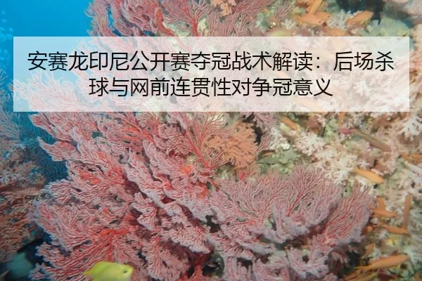 安赛龙印尼公开赛夺冠战术解读：后场杀球与网前连贯性对争冠意义