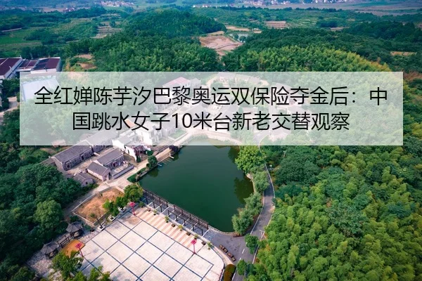 全红婵陈芋汐巴黎奥运双保险夺金后：中国跳水女子10米台新老交替观察