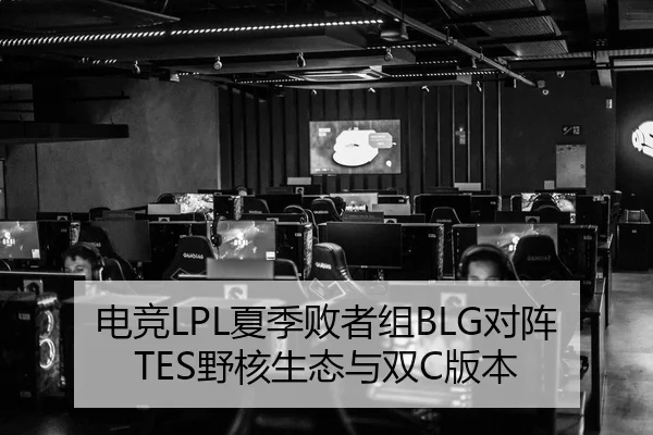 电竞LPL夏季败者组BLG对阵TES野核生态与双C版本